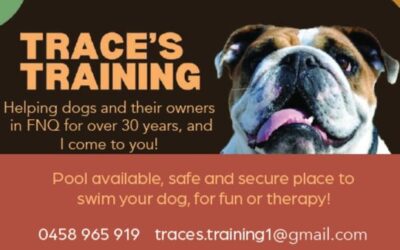 Trace’s Training