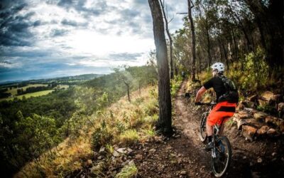 Atherton Forest Mountain Bike Park