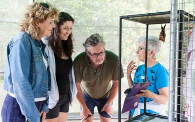 Tolga Bat Hospital Visitor Centre