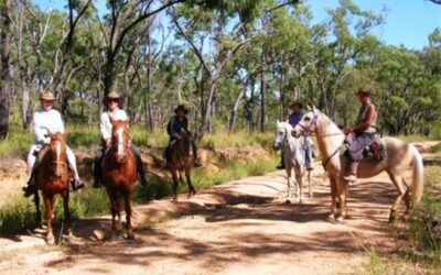Wongabel State Forest Horse Riding Trails