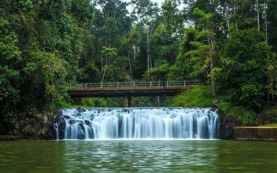 Malanda Falls & Visitor Centre