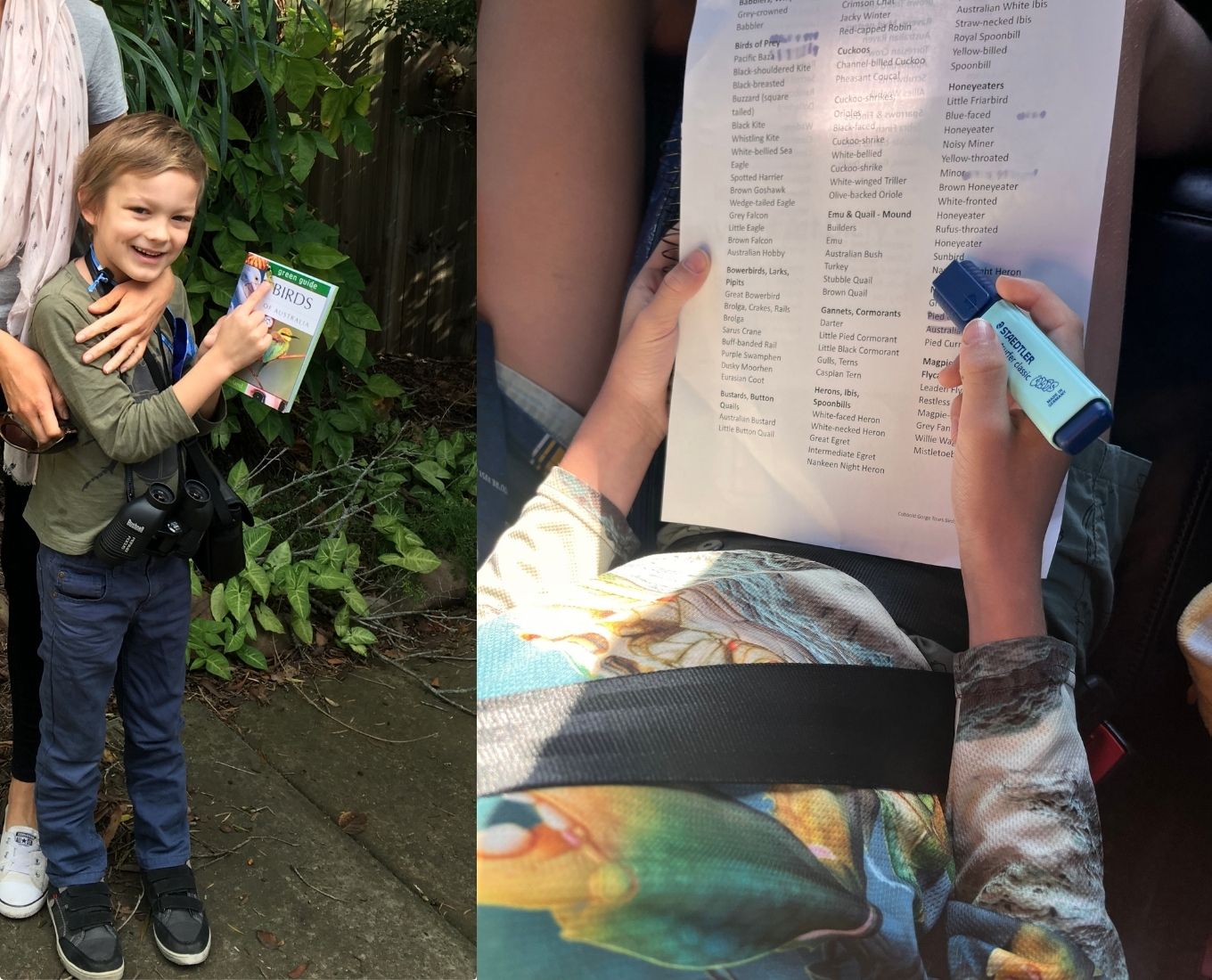 whats on bird watching