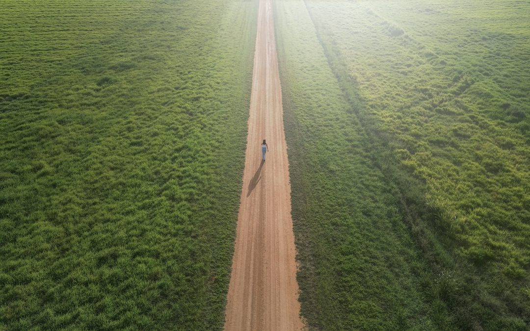 Exhibition – Artists of the Atherton Tablelands, The journey so far…