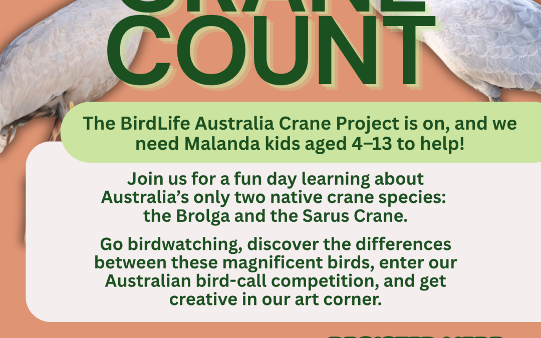 Crane Count Down